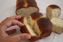 Carregar imagem no visualizador da galeria, Brioche
